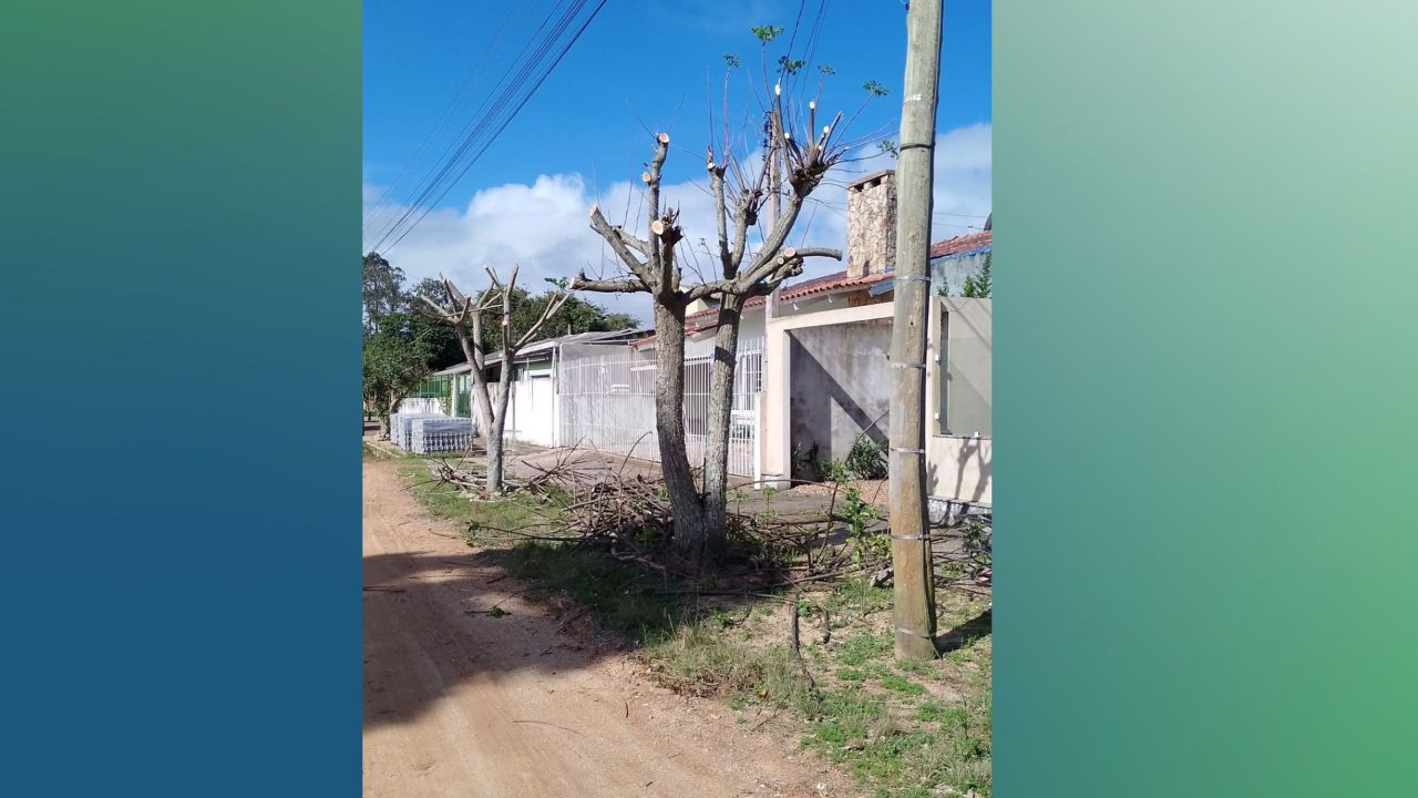 Alerta: poda drástica de árvores é infração ambiental e pode gerar penalidades em Camaquã