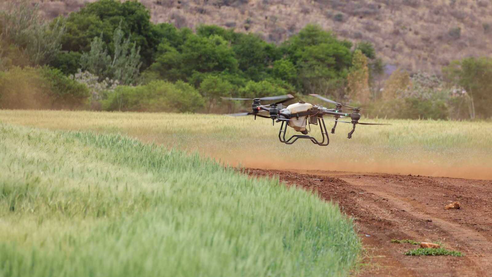 Expointer 2026: inovação do agro ganha palco próprio nesta segunda (31) com a Trilha Agro South Summit — e a SulTV acompanha tudo