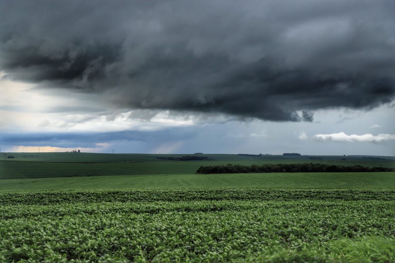 Produtores do campo redobram esforços para proteger lavouras no RS