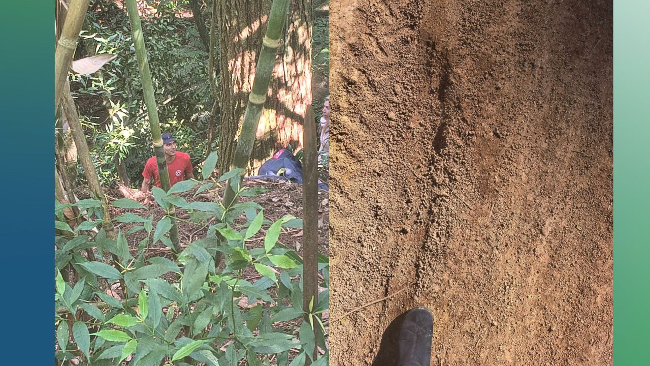 Resgate de cãozinho preso mobiliza prefeitura e Bombeiros em Camaquã