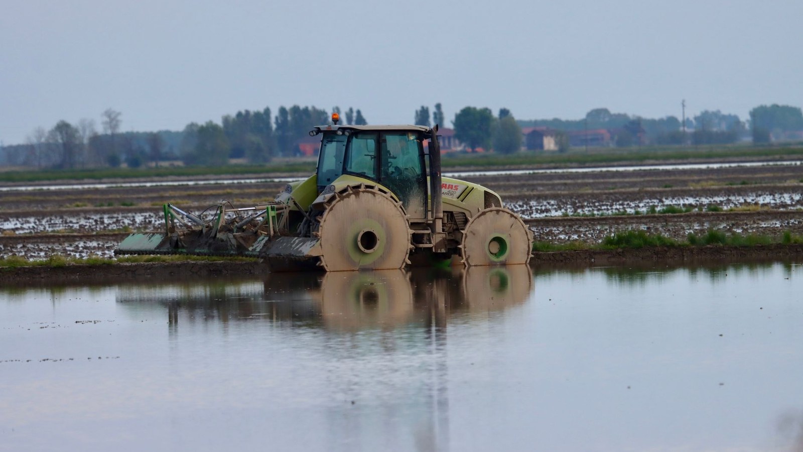 Saca do arroz sobe 1,77% no RS; chuva atrasa lavouras em Pelotas