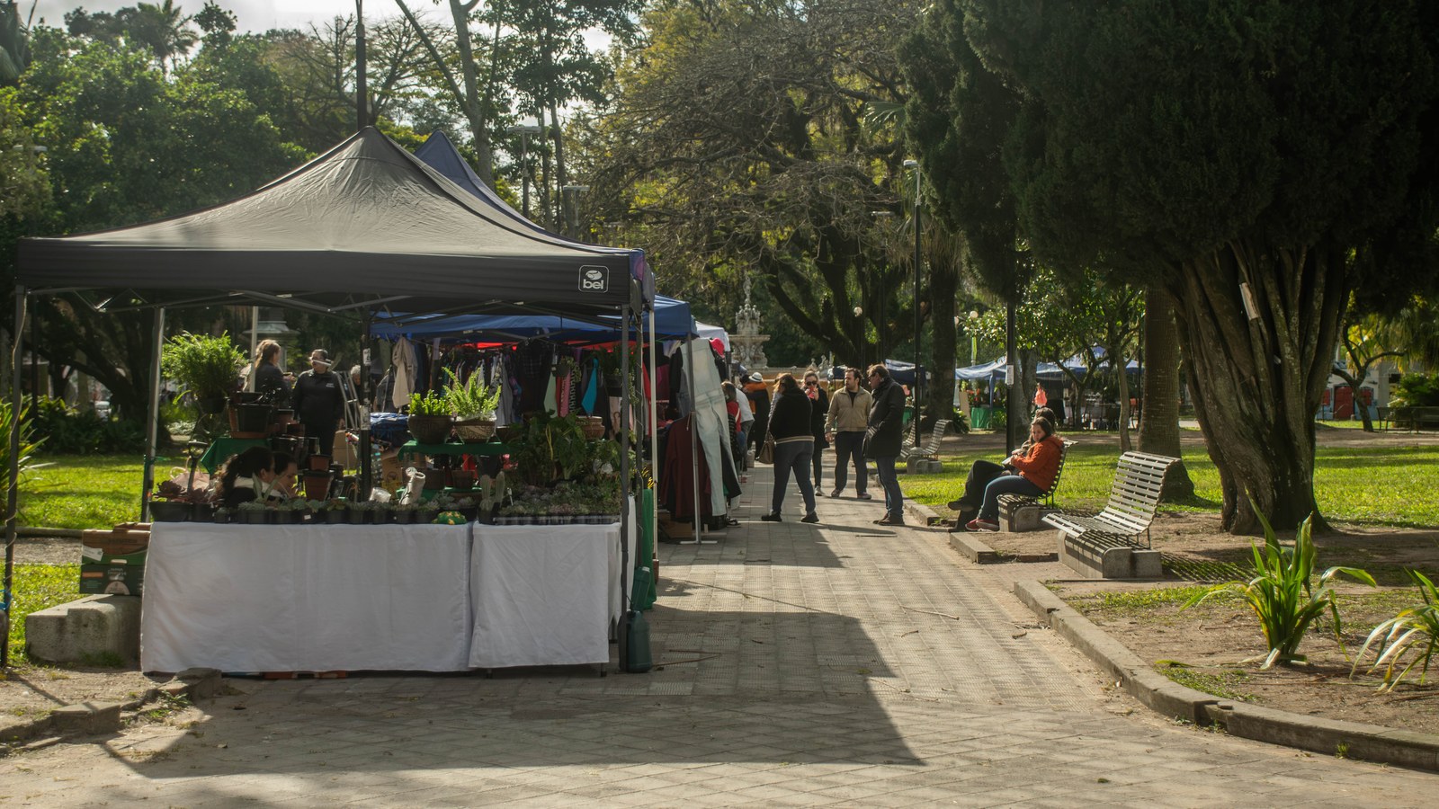 Secult sorteia ordem das bancas da Feira da Praça em Pelotas