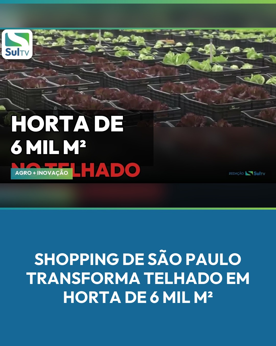 Projeto do Canal Rural produz cerca de 40 mil hortaliças por mês a partir do aproveitamento de resíduos orgânicos