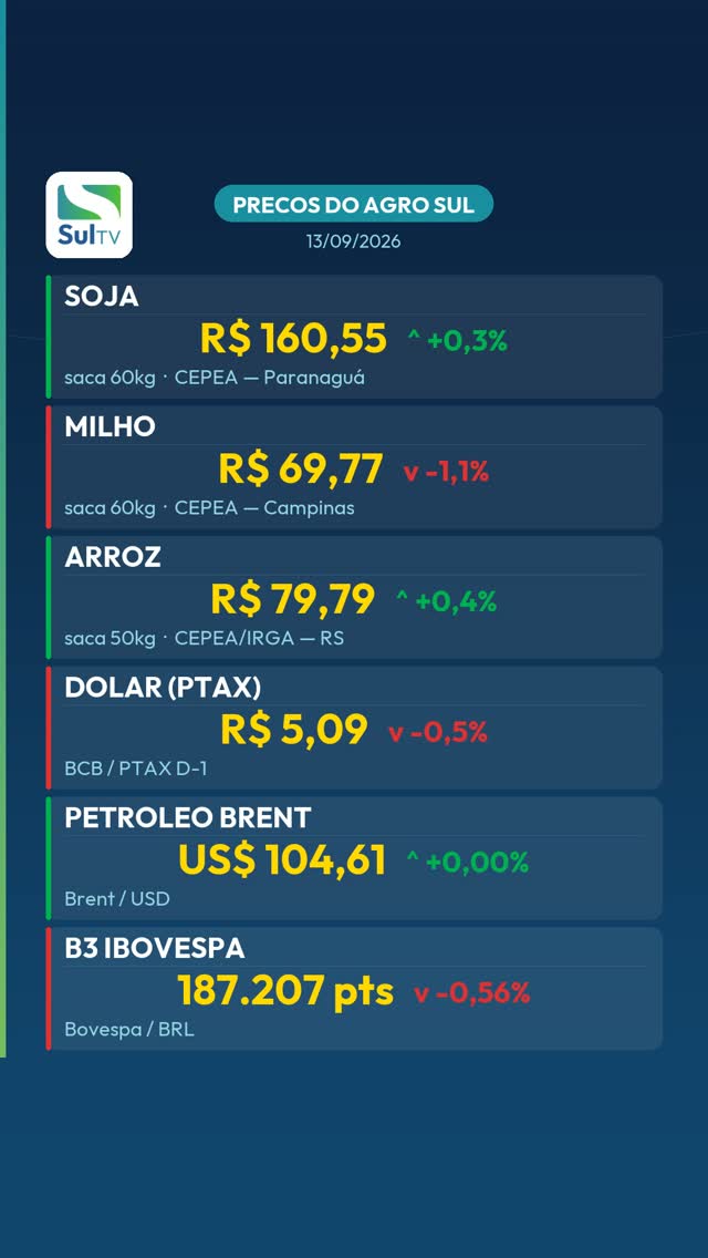 Milho cai 1,1% e fecha a R$ 69,77 — Preços do Agro Sul 13/09