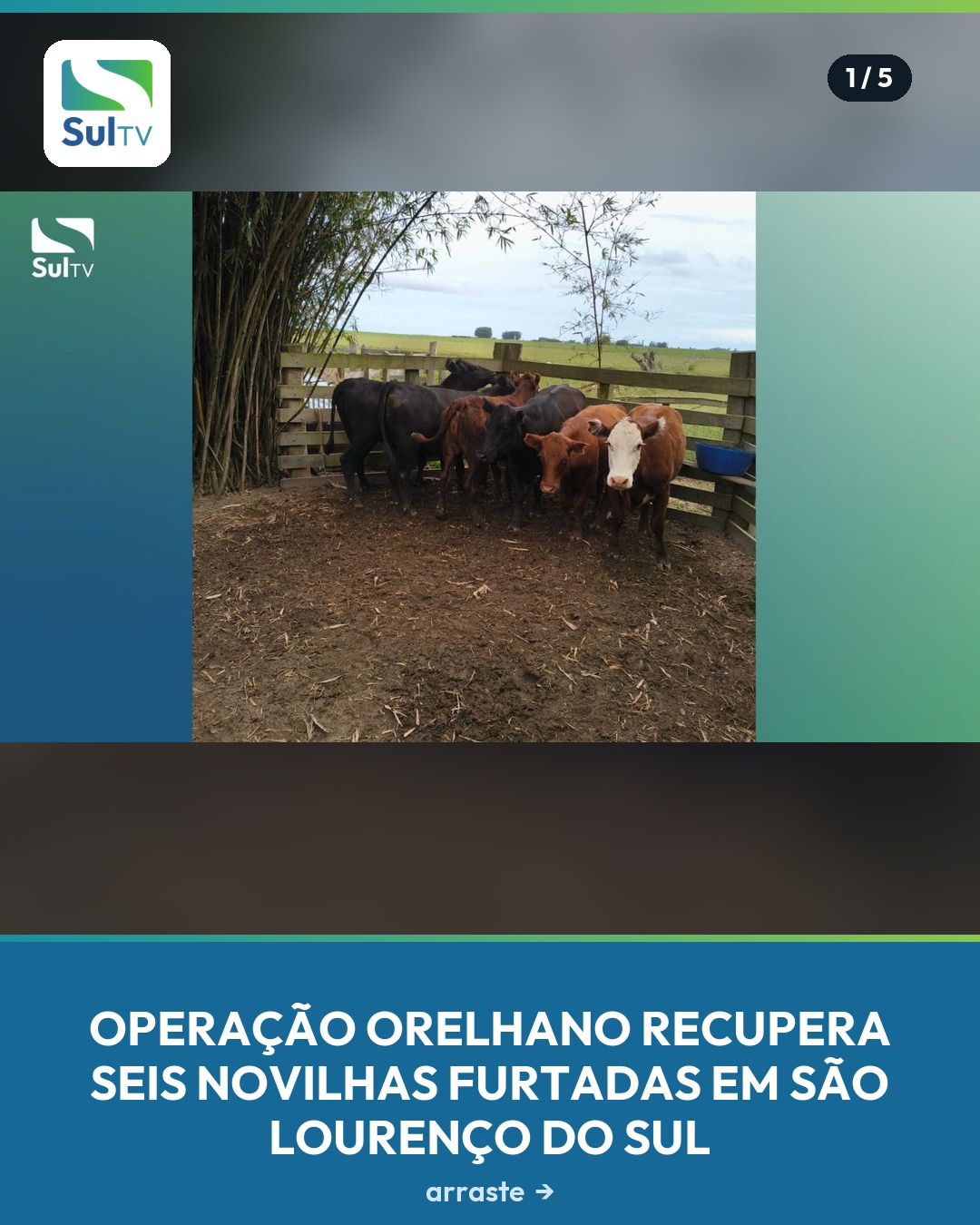 Vistoria da 3ª DECRAB confirmou restituição dos animais à vítima a partir de provas obtidas em outra investigação de ab…