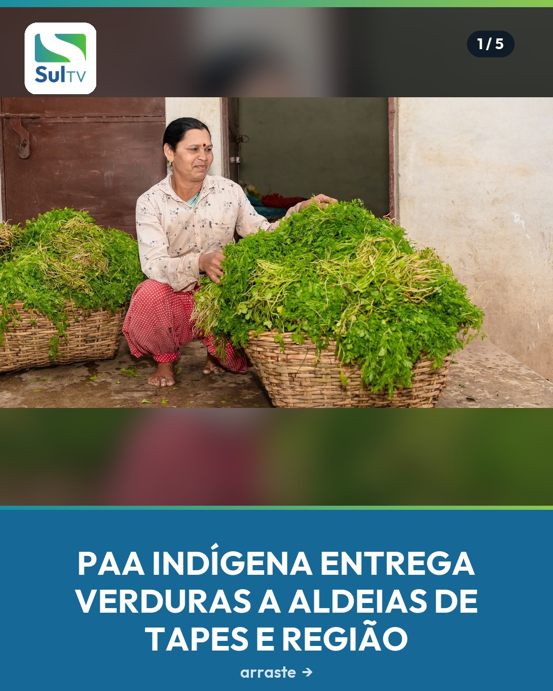 Aldeias indígenas de Tapes e Barra do Ribeiro receberam verduras frescas na última etapa do PAA Indígena, nos dias 25 e…