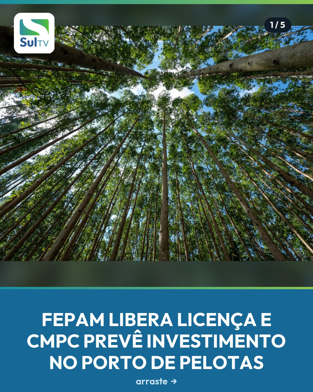 Licença prévia aprovada abre caminho para uma nova fábrica de celulose no Sul do Rio Grande do Sul, com impacto direto …