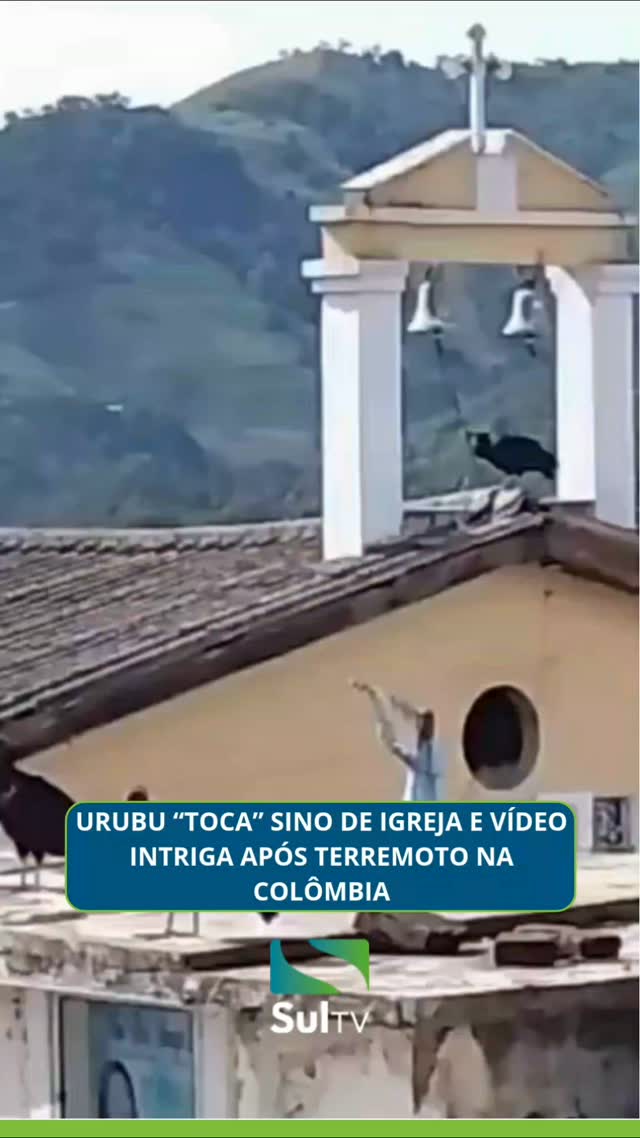 CENA CURIOSA APÓS O TERREMOTO NA COLÔMBIA! Um vídeo que circula nas redes sociais mostra uma ave, semelhante a um urubu…