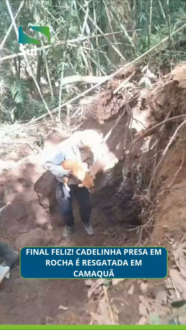 FINAL FELIZ EM CAMAQUÃ! A cadelinha que estava presa em uma rocha na localidade da Bandeirinha foi resgatada na tarde d…