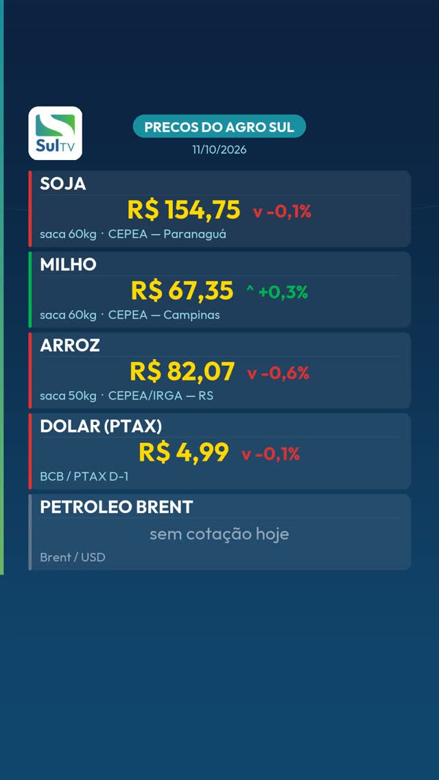 Arroz cai 0,6% e fecha a R$ 82,07 no RS — Preços do Agro Sul 11/10