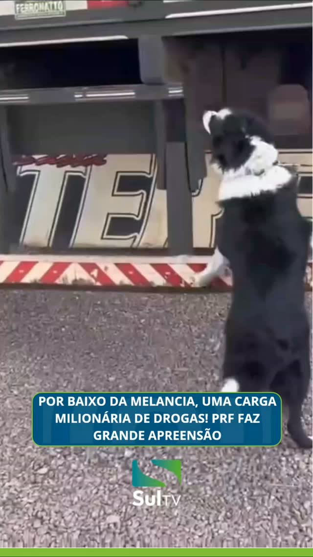 A Polícia Rodoviária Federal apreendeu 2,57 toneladas de maconha durante uma fiscalização na BR-386, em Lajeado, no Rio…